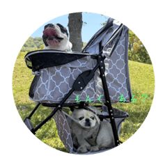 Haruandtumugi_20250430163452