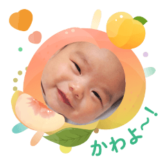 fuyu20250430