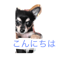 mame_20250501081626