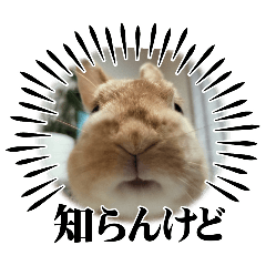 SAKANE_20250501082729
