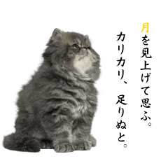 ゆる猫さんスタンプ