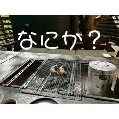 hikari_20250430235651