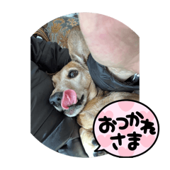 Mari_20250501103404