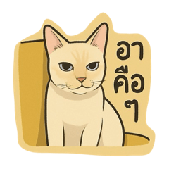 MindNTC_20250430232139