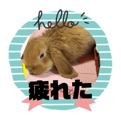 ryo_20250430174956