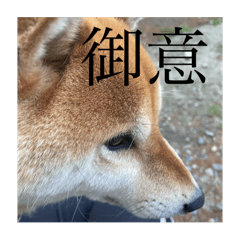 nakasuzu_20250501015631