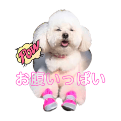 momo_20250501015141