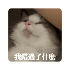 ㄉㄟˇ無奈