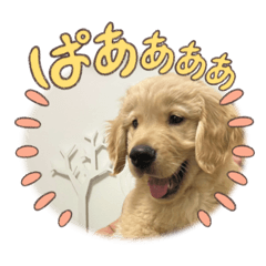 Tono_20250501093932