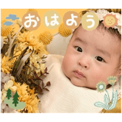 miyuki_20241126