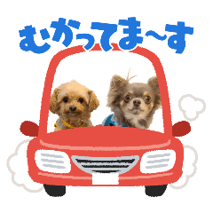 tanaka_20250501coolouis