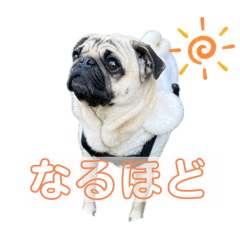 HIROKI_20250501115059