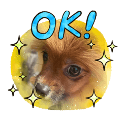 yugo_20250430215650