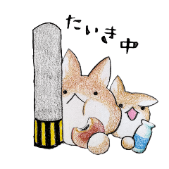mugitokinako_20250430152851