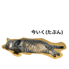 hahaha_20250501004537