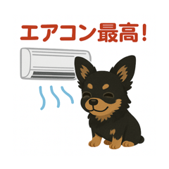junya_20250430155231