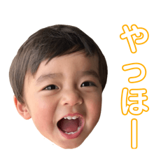 haru_20250430233723