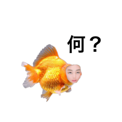 achan_20250430154652
