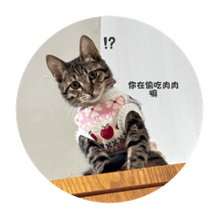 湯圓厭世生活