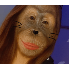 abcdefgal_20250430155733