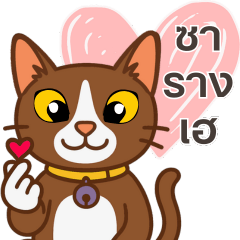 Finfer - The Cat for Every Mood (Thai)