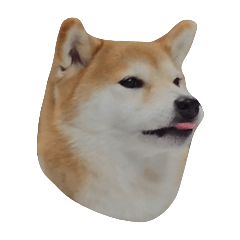 嚕咪小狗勾2