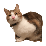 My name is uzuki
