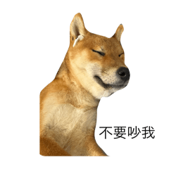 ABBY DOG