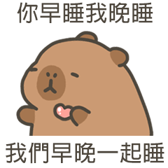 capy capybara79