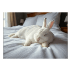 Little Bunny Watching the Scenery7