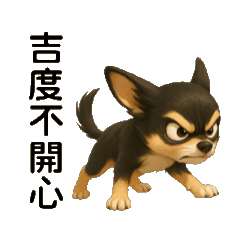 Jidu Chihuahua's daily life quotes 1