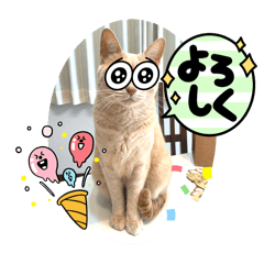 itachineko3_20250501071430