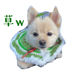yukkachanel._20250501073642