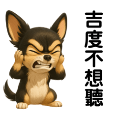 Jidu Chihuahua Daily Life Quotes 1
