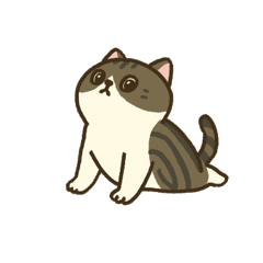 Puii Meow-ga Stretch