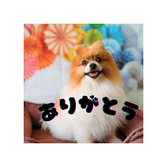 funwariwanko_20250501080735