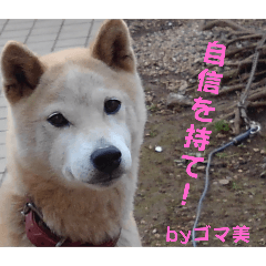 oyabin_20250501071959