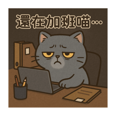 英短陪你過生活