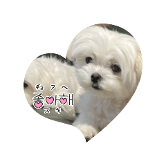 ayaka_20250501120036