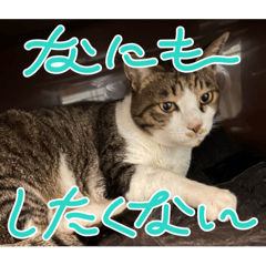 moka_20250501122032