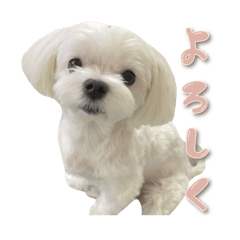 Ryoko_20250501122700