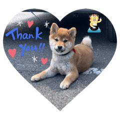 michiko.k_20250501122720