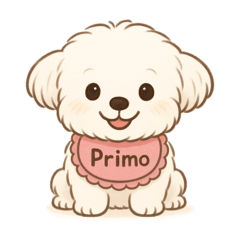 poco_chan_20250501122731