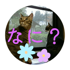 moka_20250501121924