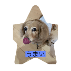 hiro_20250501131028