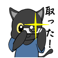黒猫のフォトジェニック