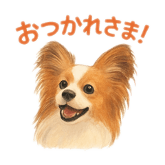 愛犬ショコラくんのかわいいスタンプ