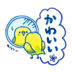 インコのトトちゃん