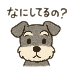 nechi_20250501133756