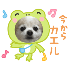 chiro_20250501134042
